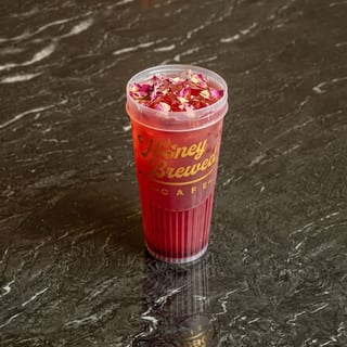 Dragon Fruit Refresher